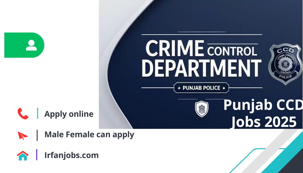 Punjab CCD Jobs 2025